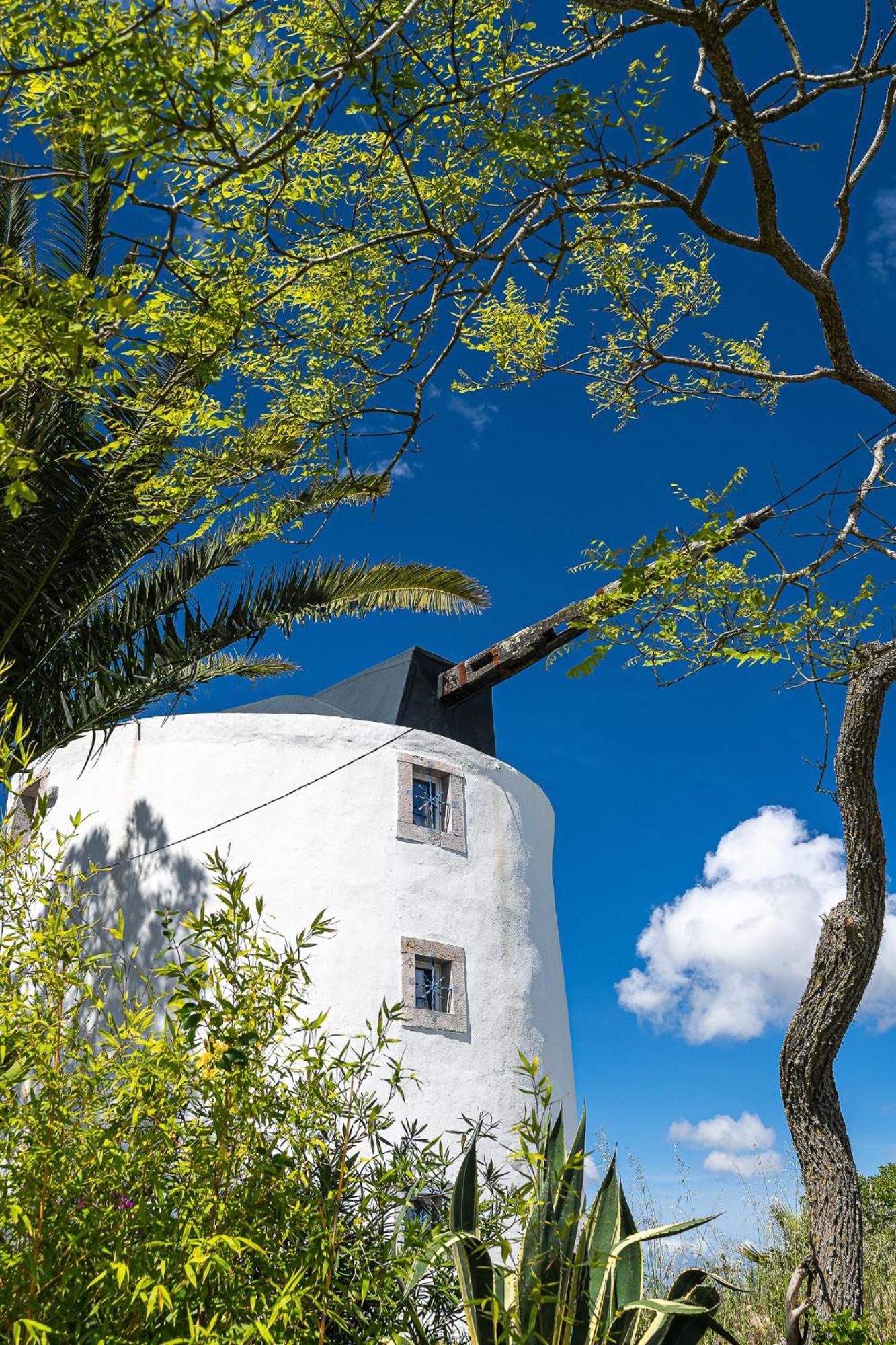 マフラ New! Windmill In The Midst Of Natureヴィラ エクステリア 写真